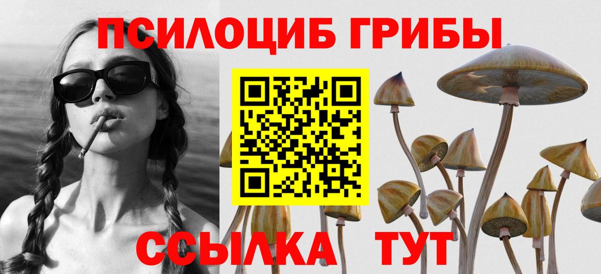 Псилоцибиновые грибы MAGIC MUSHROOMS  Галлюциногенные грибы MAGIC MUSHROOMS  Пенза  хочу   Вход с VPN 